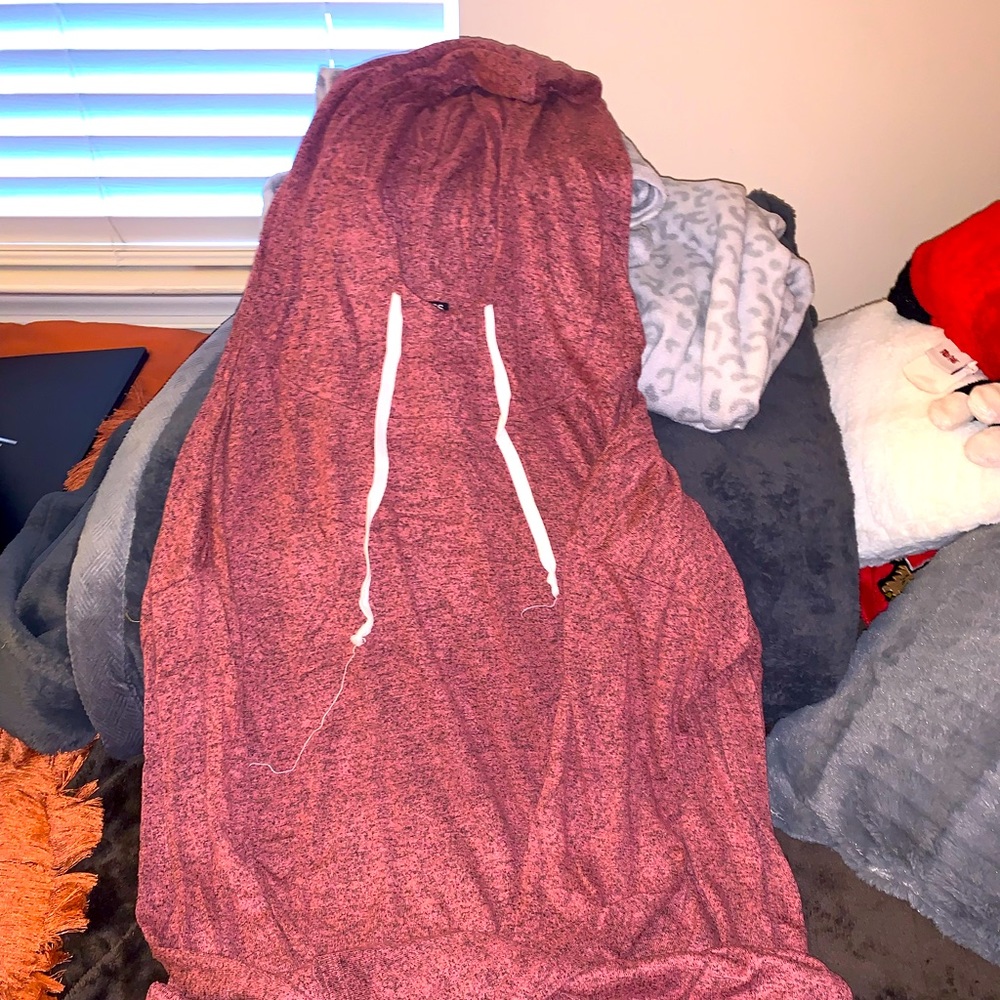 Express brand hooded sweater